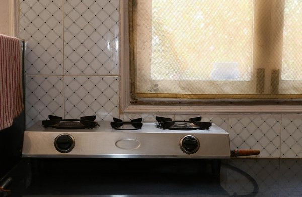 Optimisez votre jardin avec des nématodes pour un contrôle biologique